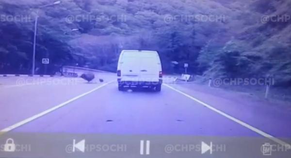 Рожденный в рубашке: под камнепад в Сочи чуть не попал едущий по трассе автомобиль